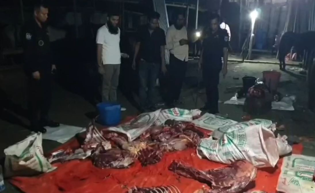 গাজীপুরে বিপুল পরিমাণ ঘোড়ার মাংস জব্দ