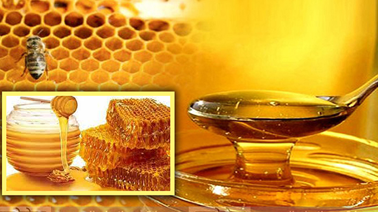মধু এক প্রাকৃতিক শক্তিশালী অ্যান্টিবায়োটিক!