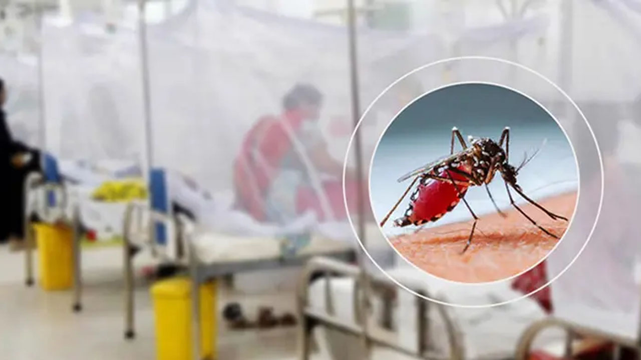 ডেঙ্গুতে মৃত্যু ২, হাসপাতালে ভর্তি ৬১০